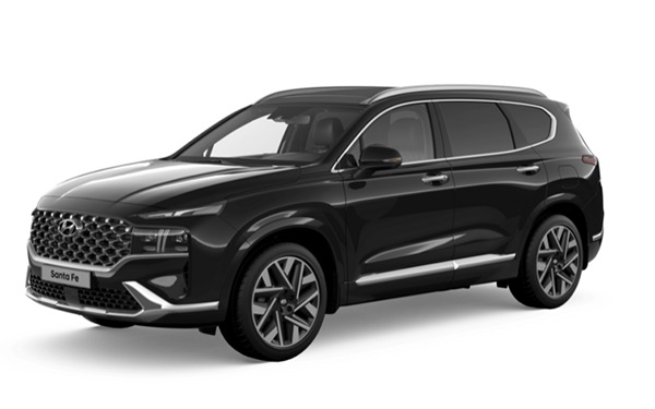 Сервисное обслуживание и ремонт автомобиля Hyundai SantaFe фото 1